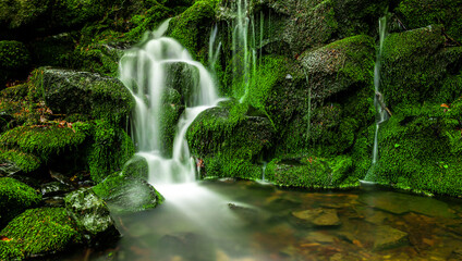 Grüner Wasserfall im Wald