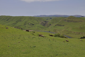 Obraz premium Rangitikei River / Rangitikei River /