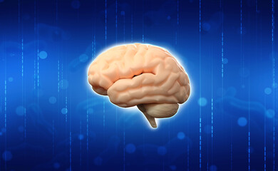 3d illustration Human health brain 
