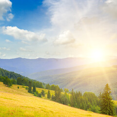 Obraz premium Gorgeous sunrise in Carpathian mountains. grassy meadows and forested hill.