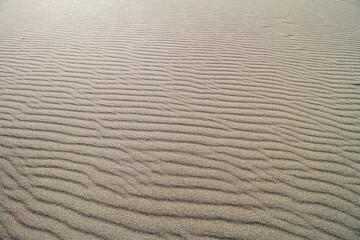 Obraz premium ripples in the sand of the desert
