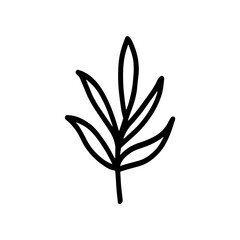 Hand-drawn botanical element on white background. Black plant doodle vector.
