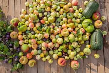 Freshly picked fruits from the field