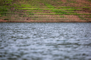 On the banks of the reservoir The dam that Thailand saw the water level mark. The grass rises on the green shore Indicates an increasing drought every year Water saving ideas