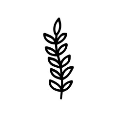 Hand-drawn botanical element on white background. Black plant doodle vector.