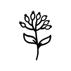 Hand-drawn botanical element on white background. Black plant doodle vector.