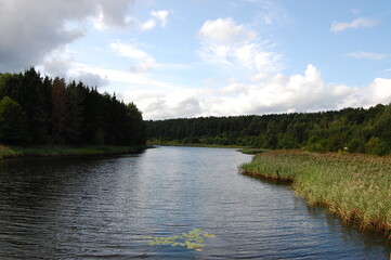 The river flows along the forest banks