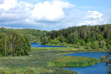 Fototapeta premium The river flows along the forest banks