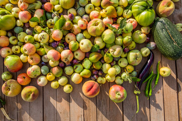 Freshly picked fruits from the field