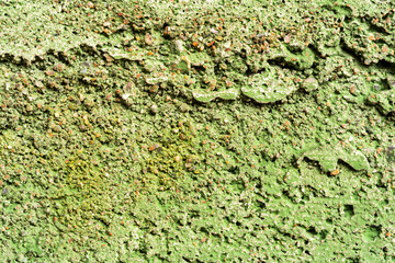 Concrete wall painted in green color. Close up view