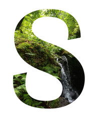 Letras rellenas de imagen de selva tropical, muy verde con cascada, helechos y selva cerrada.