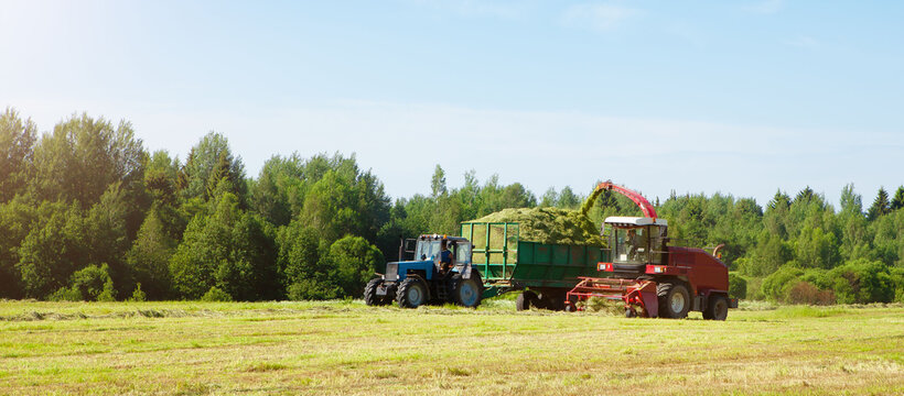 Hay harvesting in the field.