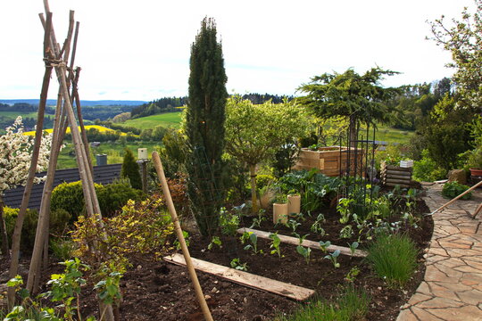 Unser sch&ouml;ner Garten bl&uuml;ht