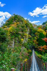 秘境紅葉風景「樅木の吊橋」あやとり橋からの紅葉景色 Unexplored autumn...