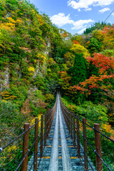 秘境紅葉風景「樅木の吊橋」あやとり橋からの紅葉景色 Unexplored autumn...