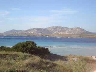 Fototapeta na wymiar view of the coast of the la pelosa