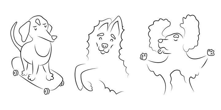 Collection of linear illustrations with different breeds of dogs. Line pet icons set. Funny animals play and quarrel. Posters for dog lovers. Logo of a veterinary clinic, pet store, grooming salon.