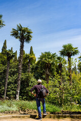 adult man traveler with backpack relaxing near the palm trees