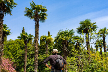 Naklejka na ściany i meble adult man traveler with backpack relaxing near the palm trees
