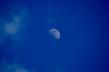 Mond 