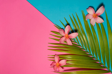 Summer tropical composition. Green tropical leaves of palm trees and pink flowers on bright blue and pink background. Flat lay, top view, copy space. Creative background food, fruit