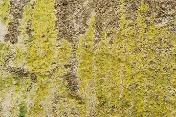Old and ruined wall with a shabby paint. Close up view