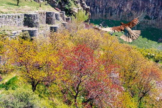 Ruins of a fortress in Bjni. Armenia