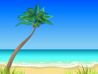 Vector summer beach horizontal background with a single coconut palm tree. Beautiful landscape, calm water, good sunny weather, summer day on the ocean bay.