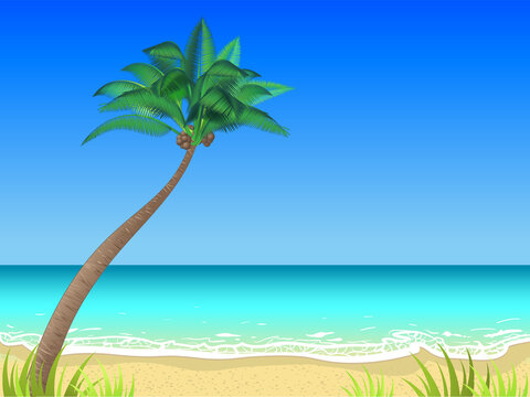 Vector summer beach horizontal background with a single coconut palm tree. Beautiful landscape, calm water, good sunny weather, summer day on the ocean bay.
