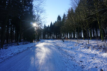 winter morning