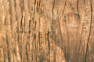 Old and rotten wooden wall. View close up