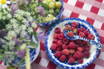 ceramic white-blue plate with red raspberries, a cup with gooseberries, a spoon, a bouquet of summer wildflowers on a checkered red-white tablecloth. harvest time.
