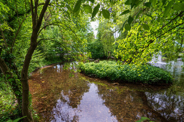Volksgartenteich in Wels Oberösterreich