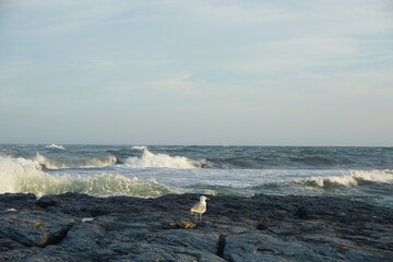 waves and rocks