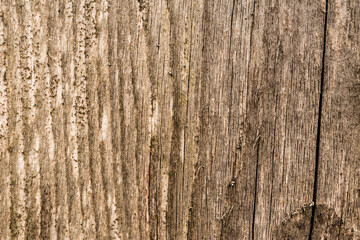 Old and rotten wooden wall. View close up