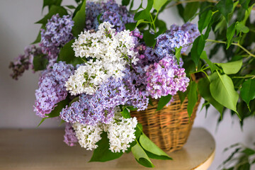 Lilac flower branches in wicker basket on wooden table near white wall background. Close up. Selective soft focus. Shallow depth of field. Text copy space.
