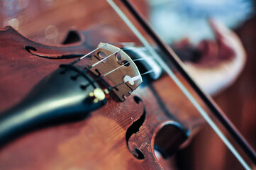 close up of a violin