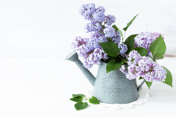 Beautiful fresh violet lilac bouquet in metal watering. Template for gardening, spring time. Greeting card for Saint Valentine's Day, 8 march, Women's day, Mother's day. White background, close up