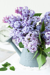 Beautiful fresh violet lilac bouquet in metal watering. Template for gardening, spring time. Greeting card for Saint Valentine's Day, 8 march, Women's day, Mother's day. White background, close up