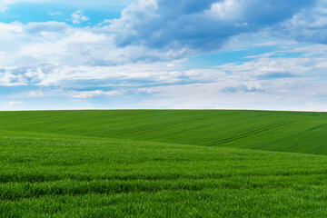 Green field over blue sky background