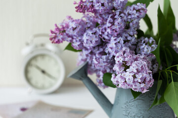 Beautiful fresh violet lilac bouquet in metal watering. Template for gardening, spring time. Greeting card for Saint Valentine's Day, 8 march, Women's day, Mother's day. White background, close up