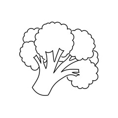 Broccoli outline icon. Simple line vegetable sign.