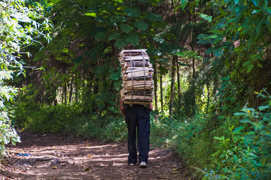 Hombre campesino cargando le&ntilde;a sobre su espalda
