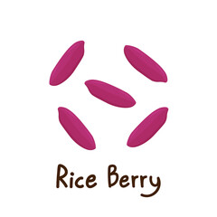 Riceberry vectoir. Riceberry on white background.