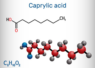Caprylic acid, octanoic acid  molecule. It is straight-chain saturated fatty and carboxylic acid. Salts are octanoates or caprylates. Structural chemical formula, molecule model