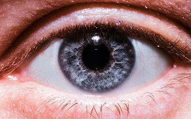 Amazing macro eyes iris