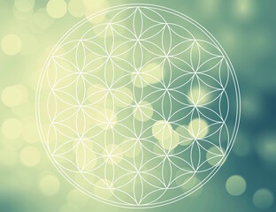 abstract background with flower of Life