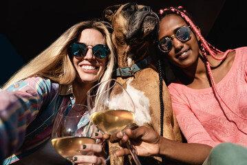 Happy multiracial friends cheering with wine outdoors with pet dog in summer time - Main focus on...