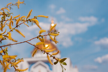 Branches with earrings. In the background is a mosque.