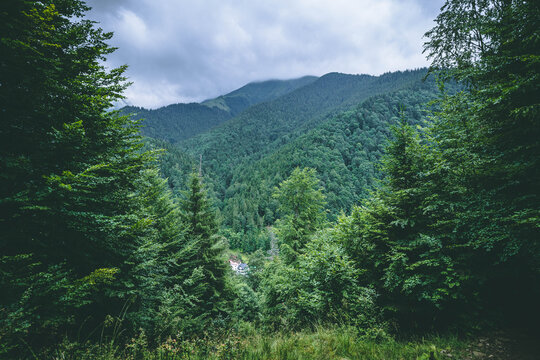 Fagarasi mountains - Lespezi trail